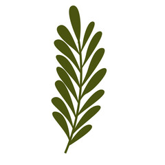 Fresh Green Tropical Leaf, Design Vector Element Flower and Leaves 