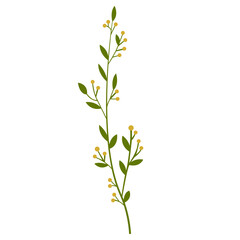 Fresh Green Tropical Leaf, Design Vector Element Flower and Leaves 