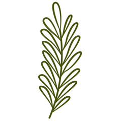 Fresh Green Tropical Leaf Outline, Design Vector Element Flower and Leaves 