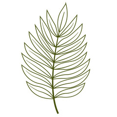 Fresh Green Tropical Leaf Outline, Design Vector Element Flower and Leaves 