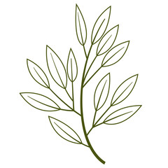 Hand Drawn Leaf and Flower, Foliage and Floral Clipart Design