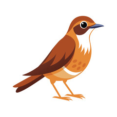 illustration of a warbler bird