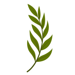 Hand Drawn Leaf and Flower, Foliage and Floral Clipart Design