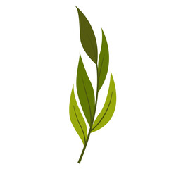 Obraz premium Hand Drawn Leaf and Flower, Foliage and Floral Clipart Design