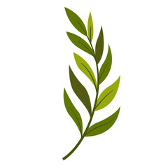 Hand Drawn Leaf and Flower, Foliage and Floral Clipart Design