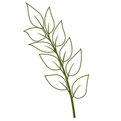 Hand Drawn Leaf and Flower, Foliage and Floral Clipart Design