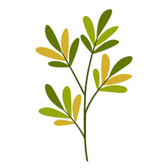 Hand Drawn Leaf and Flower, Foliage and Floral Clipart Design