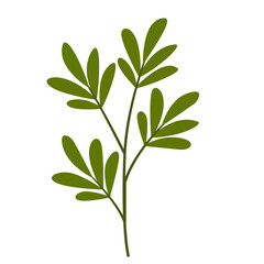 Hand Drawn Leaf and Flower, Foliage and Floral Clipart Design