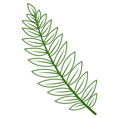 Foliage Single Green Leaf Plant Outline, Vector Design Element Tropical Leaves