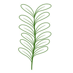 Foliage Single Green Leaf Plant Outline, Vector Design Element Tropical Leaves