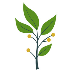 Obraz premium Foliage Single Green Leaf Plant, Vector Design Element Tropical Leaves