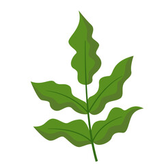 Foliage Single Green Leaf Plant, Vector Design Element Tropical Leaves