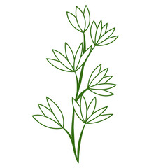 Greenery Tropical Leaf Plant Outline, Decorative Element Design 