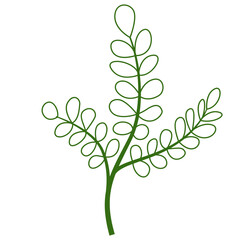 Greenery Tropical Leaf Plant Outline, Decorative Element Design 