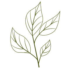 Greenery Tropical Leaf Plant Outline, Decorative Element Design 