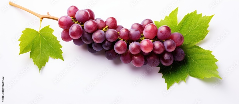 Leinwandbilder ripe bunch of grapes with vibrant green leaves displayed close up on a clean white background. with 
