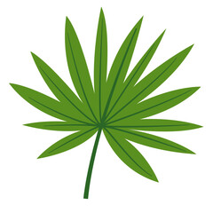 Greenery Tropical Leaf Plant, Decorative Element Design 