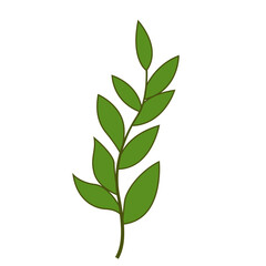 Greenery Tropical Leaf Plant, Decorative Element Design 