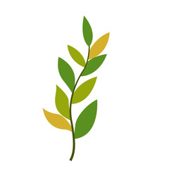 Greenery Tropical Leaf Plant, Decorative Element Design 