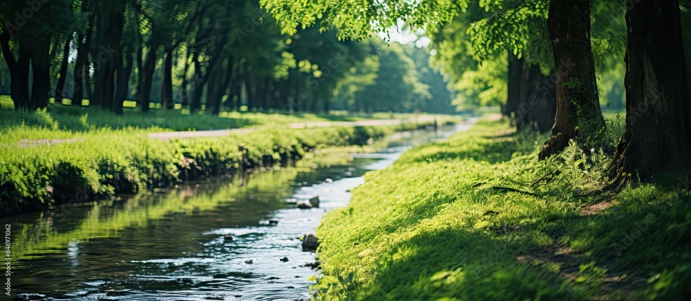Aufkleber Tranquil scene of a pathway in a park bordered by lush trees and green grass next to a meandering stream. with copy space image. Place for adding text or design