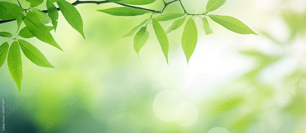 Aufkleber A detailed view of a tree branch covered with vibrant green leaves, emphasizing nature's beauty and freshness. with copy space image. Place for adding text or design