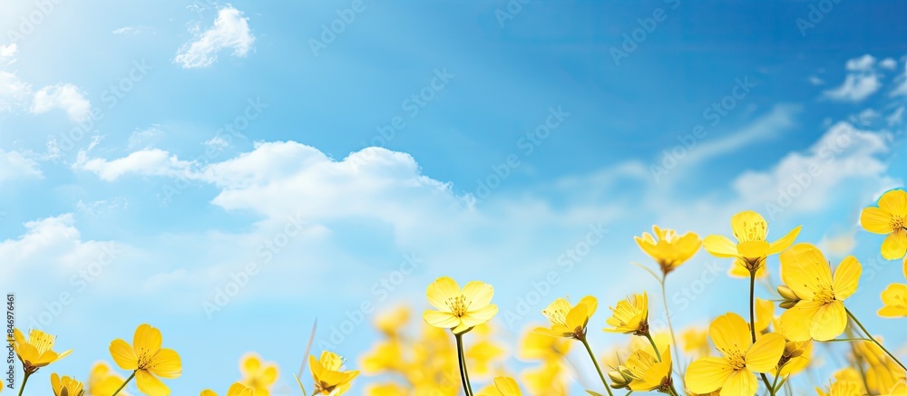 Aufkleber bursting yellow blooms of wildflowers set against the vivid backdrop of a clear blue sky in a pictur