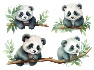 Set of cute baby panda bear on the tree branch watercolor isolated white background. Vector illustration © Pickoloh