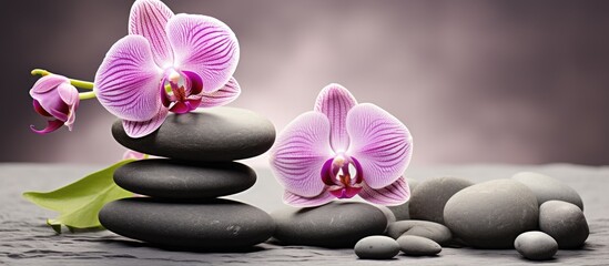 A serene composition of violet orchids and smooth stones artfully displayed on a flat surface with a matching purple background. with copy space image. Place for adding text or design