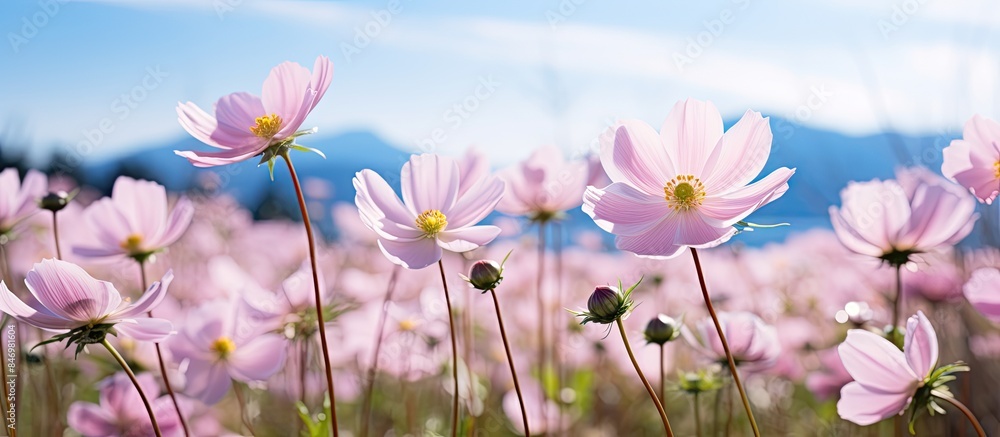 Leinwandbilder cluster of pink flowers blooms elegantly in a picturesque field with majestic mountains in the backd