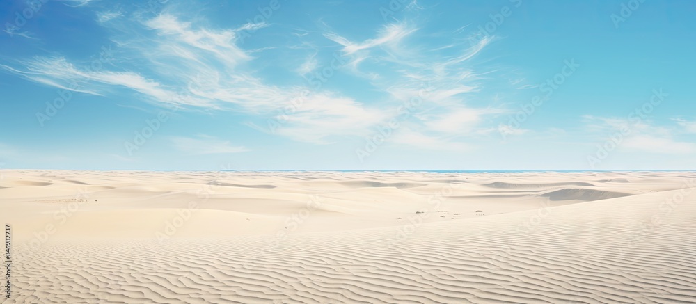 Poster Giraffes roaming in the arid desert landscape under a vast blue sky dotted with fluffy white clouds. with copy space image. Place for adding text or design