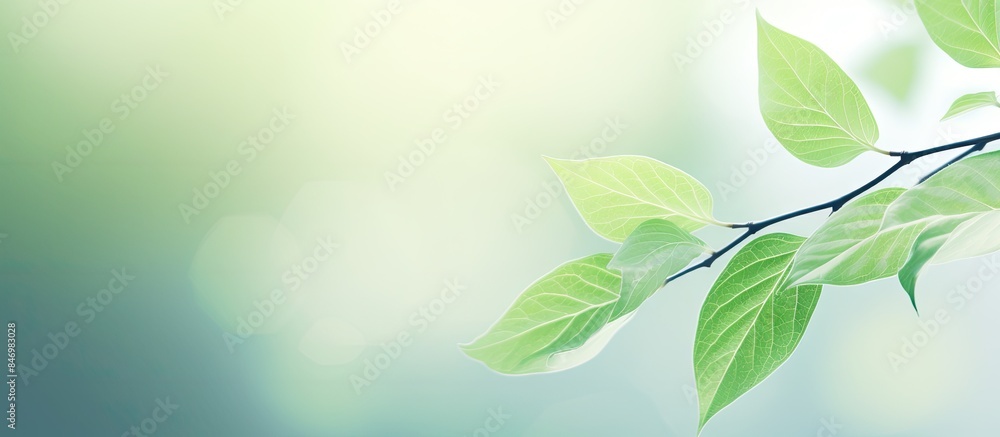 Poster a close-up image of a single green leaf attached to a branch, set against a softly blurred backgroun