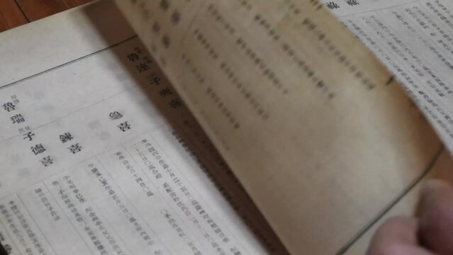 고서