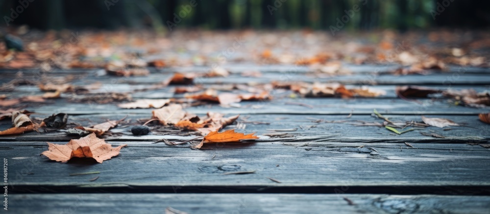 Fototapete wooden deck covered with fallen leaves in a forest setting, featuring a blurred background. with cop