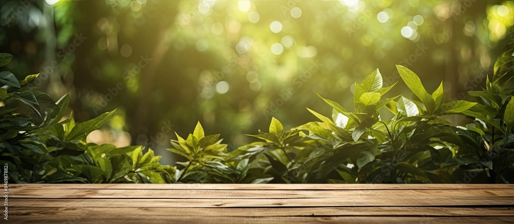 Leinwandbilder table made of wood placed amidst a vibrant green forest with dense vegetation and foliage. with copy