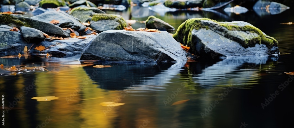 Poster river rocks and leaves captured in a close-up shot, showcasing the natural beauty of the water's sur