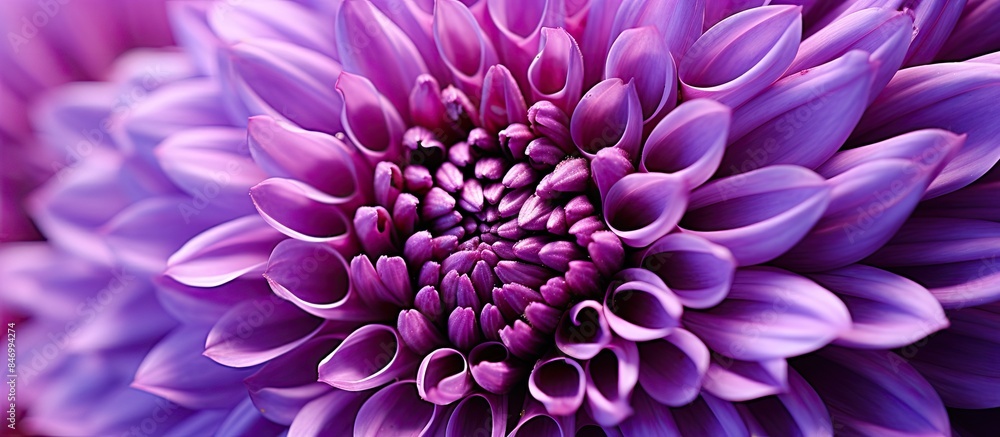 Poster a striking purple flower stands out with its prominent center and exceptionally long stem in a macro
