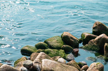 The moss on the rocks by the river