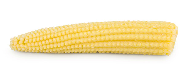 Pickled young baby corn cobs isolated on white background