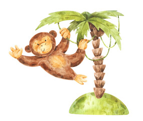 Little monkey hanging on palm. Watercolor children illustration isolated on white background © Katerina Koniukhova