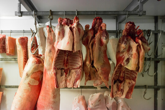 Meat carcasses on butchers hooks