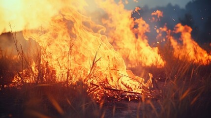 A fire burning in an open field with no signs of human presence or nearby structures