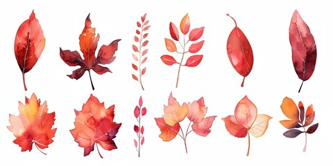 Fototapeta premium bunch of different types of leaves on a white background