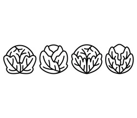 brussel sprouts icons symbol vector design simple line flat black white illustration collections sets