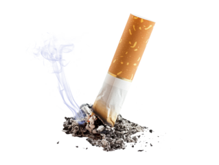 Cigarette butt isolated on transparent background