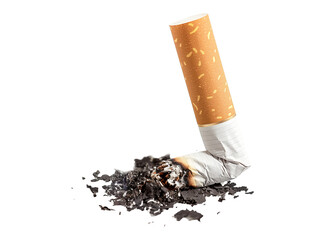 Cigarette butt isolated on transparent background