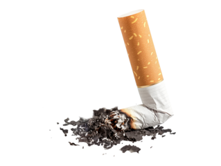Cigarette butt isolated on transparent background