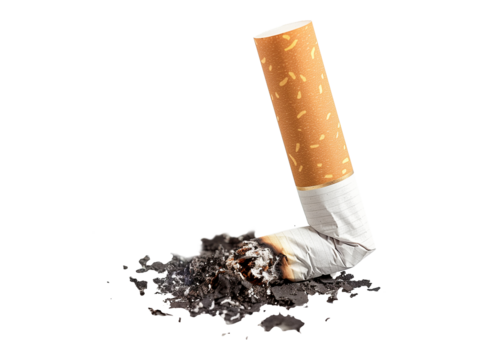 Cigarette butt isolated on transparent background