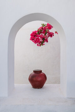 archway with a bright vase and bougainvillea flowers