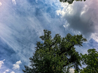 Sky