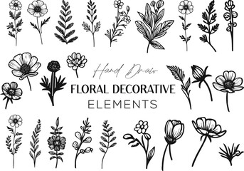 Flowers, Wildflowers Eps Files, Flowers Garden, Hand-draw Flowers